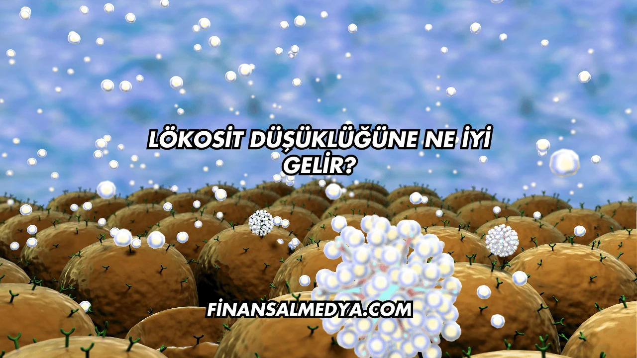 Lökosit Düşüklüğüne Ne İyi Gelir?