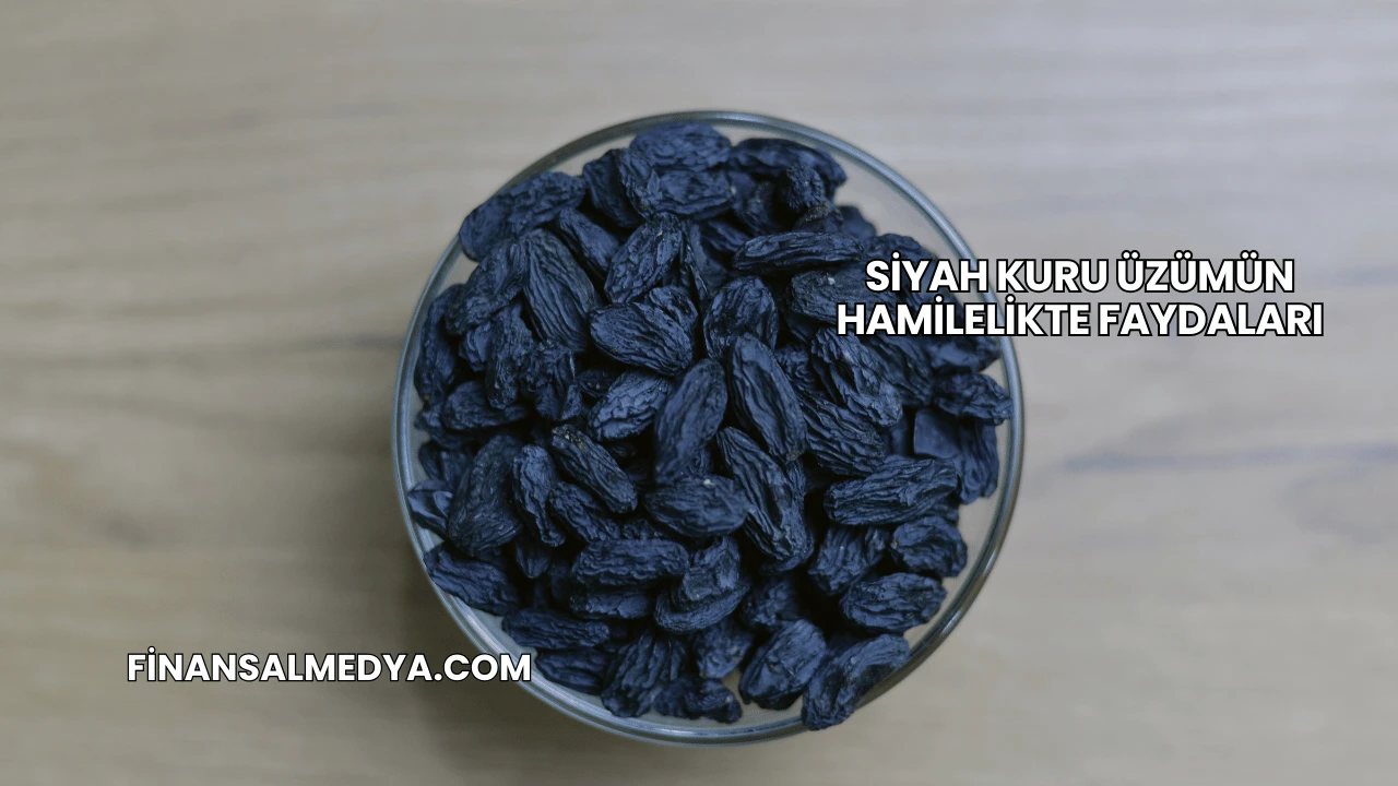 Siyah Kuru Üzümün Hamilelikte Faydaları