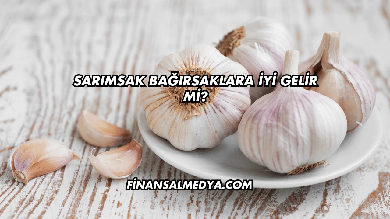 Sarımsak Bağırsaklara İyi Gelir mi?
