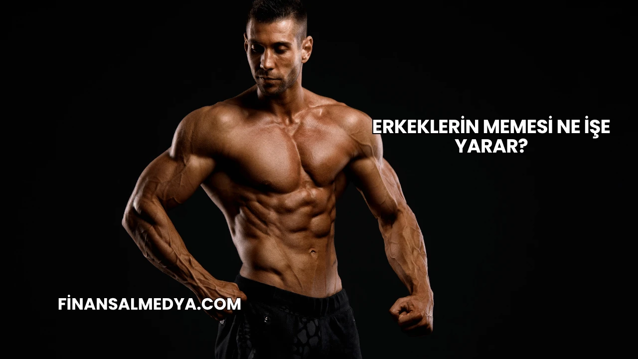 Erkeklerin Memesi Ne İşe Yarar?