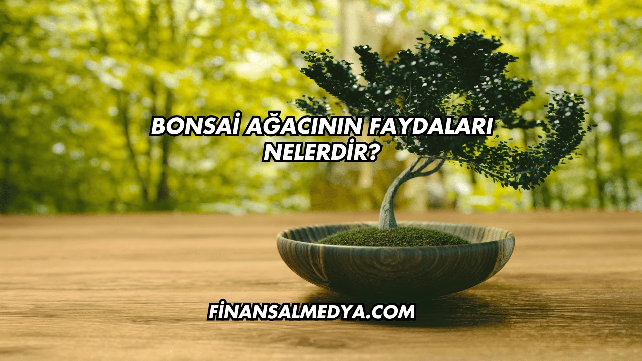 Bonsai Ağacının Faydaları Nelerdir?