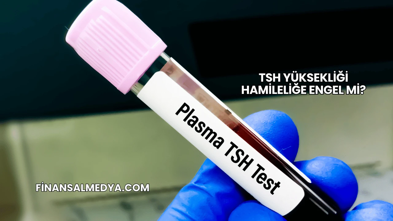 TSH Yüksekliği Hamileliğe Engel mi?