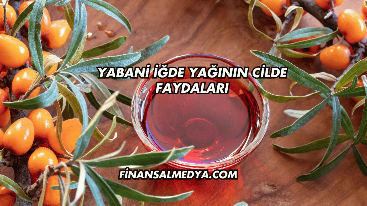 Yabani İğde Yağının Cilde Faydaları