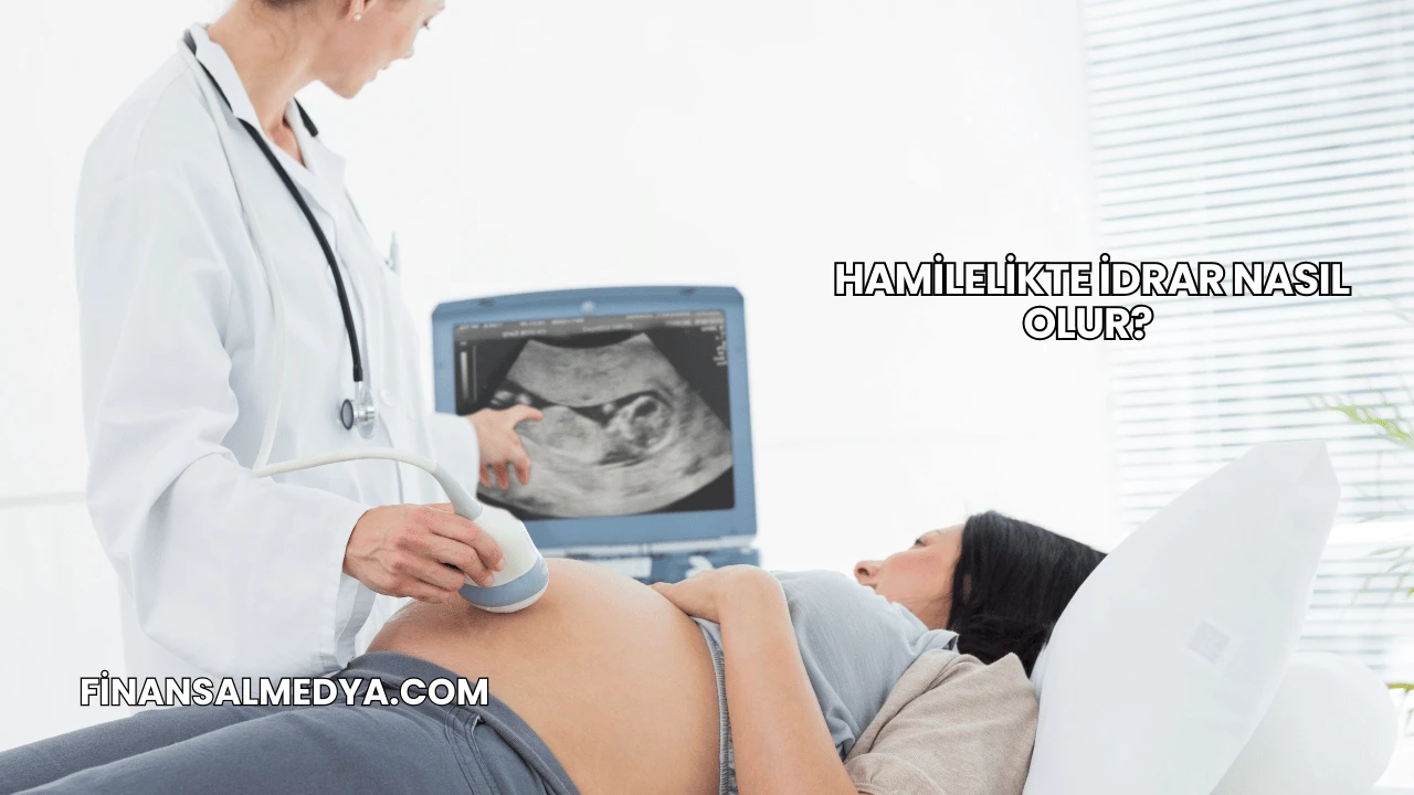 Hamilelikte İdrar Nasıl Olur?