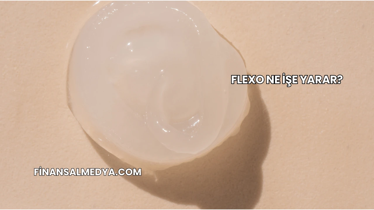 Flexo Ne İşe Yarar?