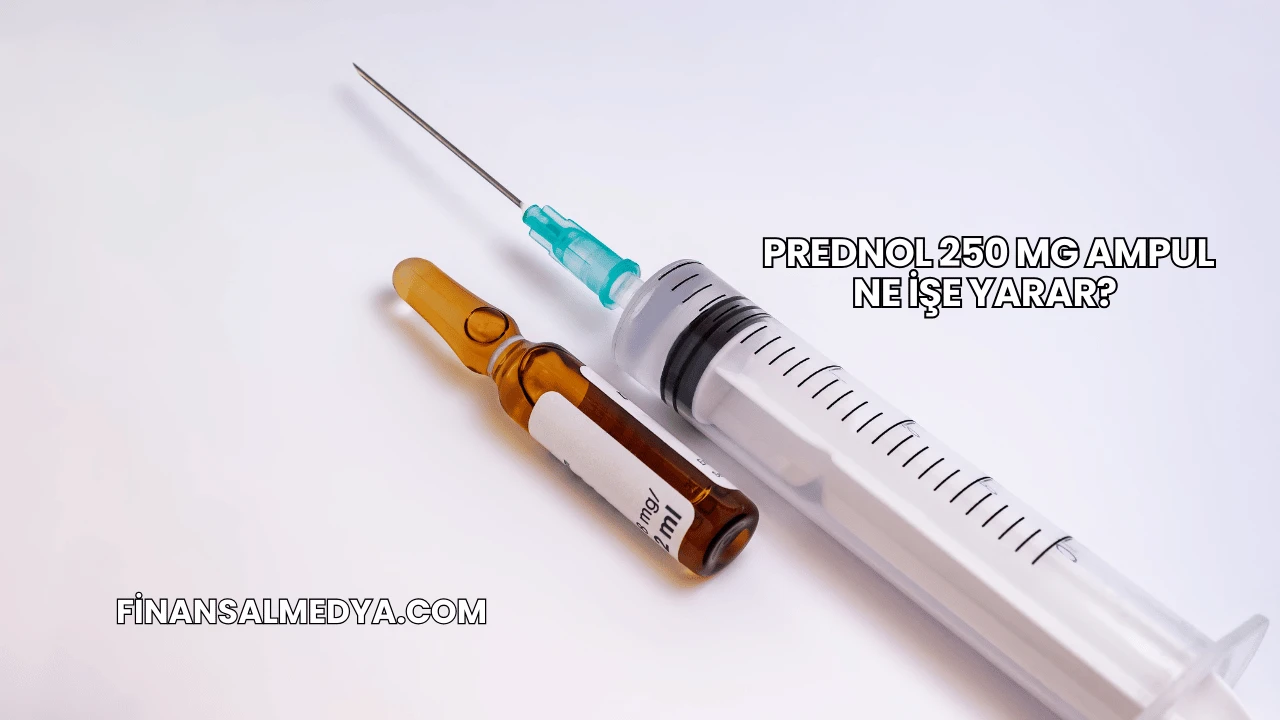 Prednol 250 Mg Ampul Ne İşe Yarar?