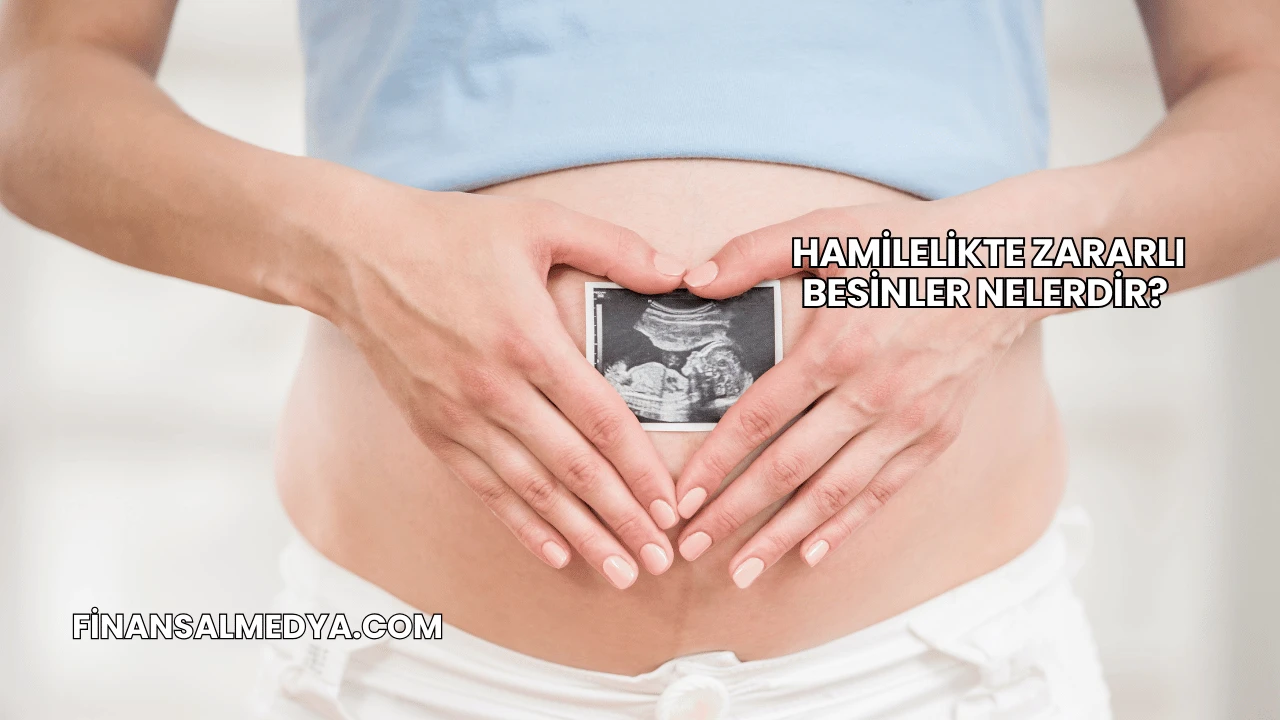 Hamilelikte Zararlı Besinler Nelerdir?