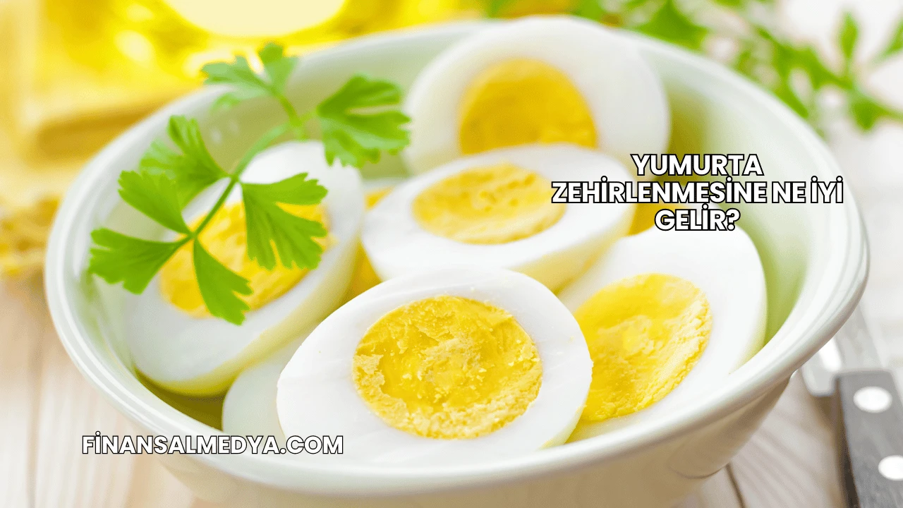 Yumurta Zehirlenmesine Ne İyi Gelir?