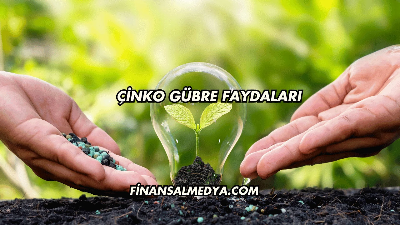 Çinko Gübre Faydaları