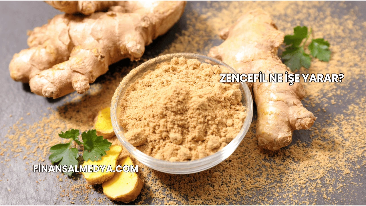 Zencefil Ne İşe Yarar?