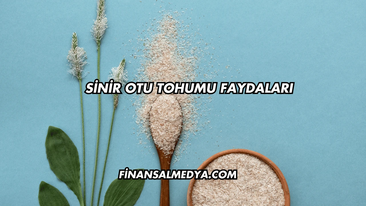 Sinir Otu Tohumu Faydaları