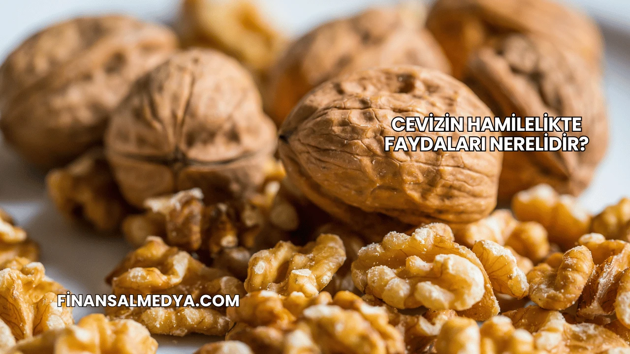 Cevizin Hamilelikte Faydaları Nerelidir?
