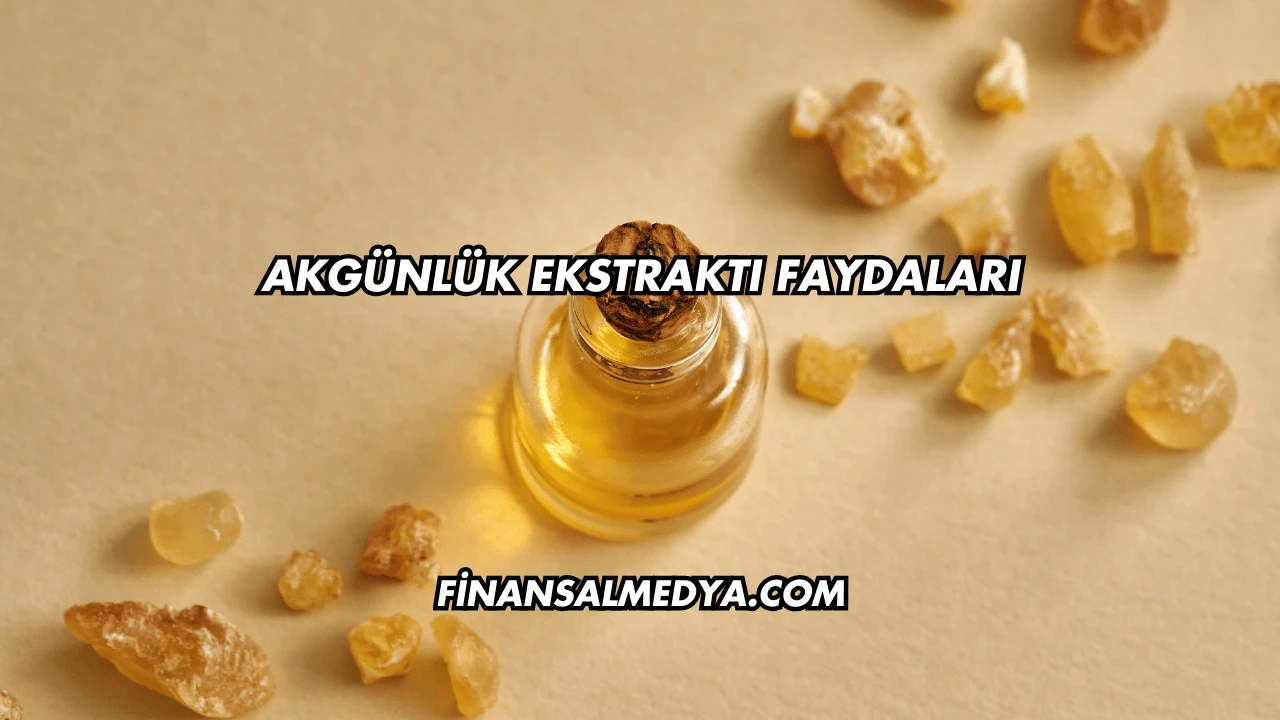 Akgünlük Ekstraktı Faydaları