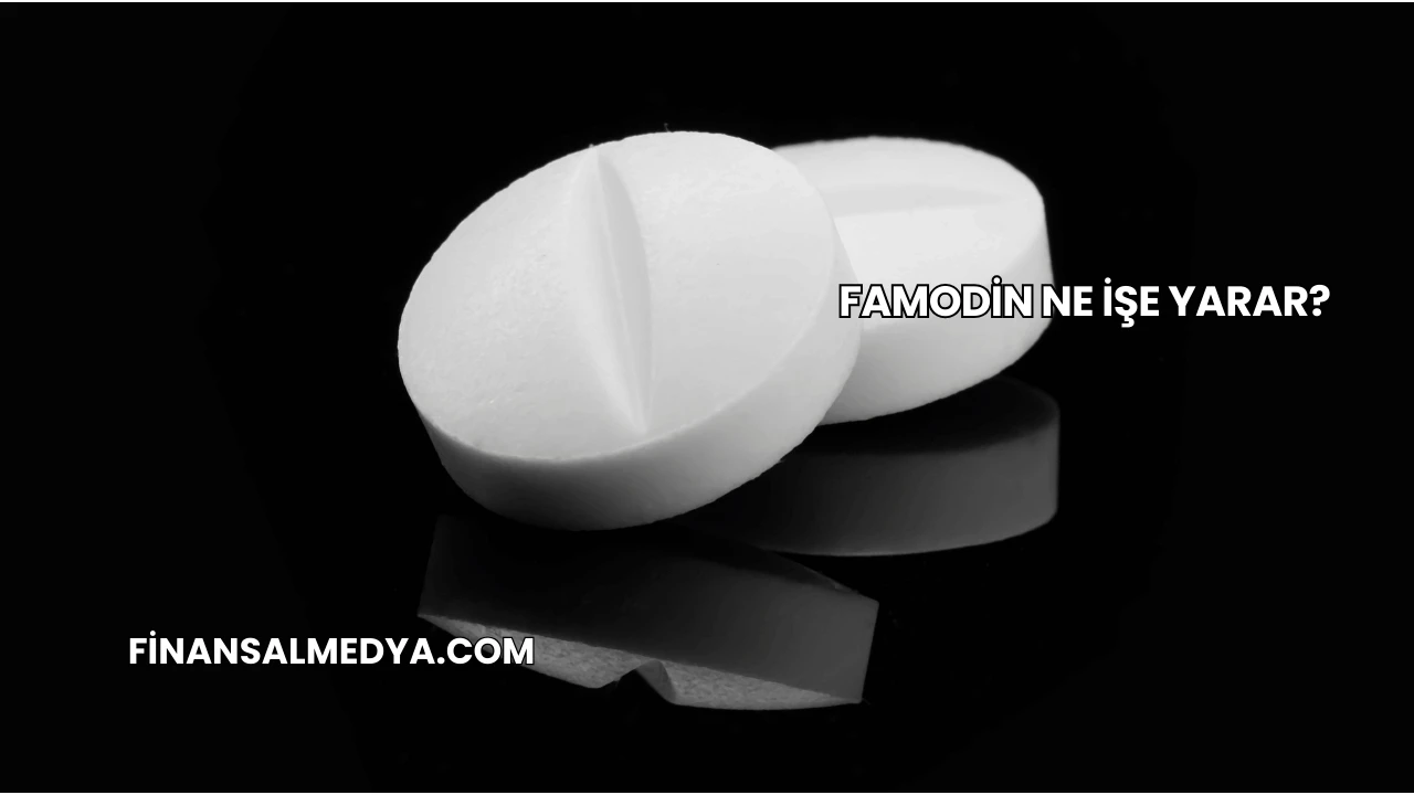 Famodin Ne İşe Yarar?