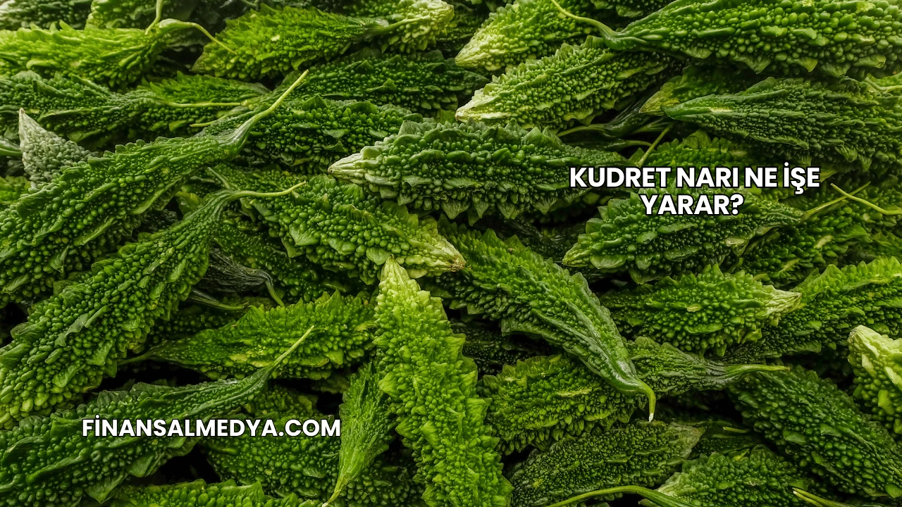 Kudret Narı Ne İşe Yarar?