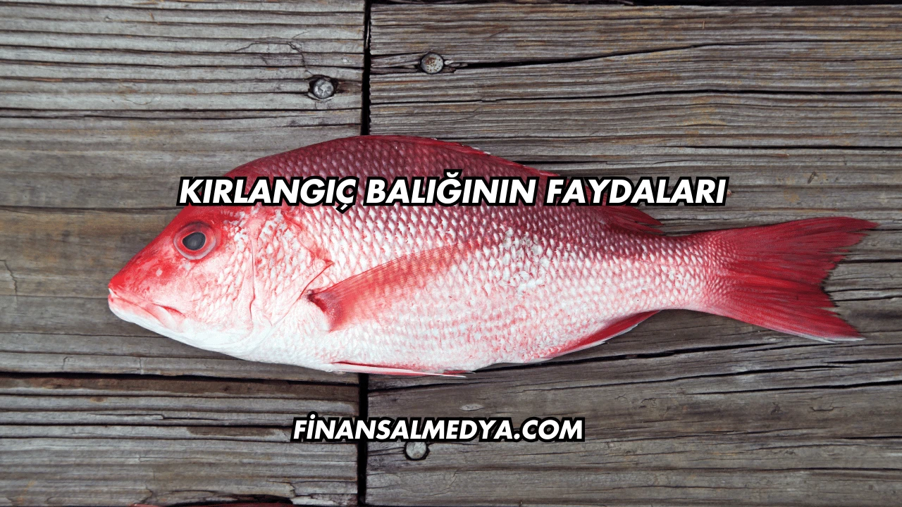 Kırlangıç Balığının Faydaları