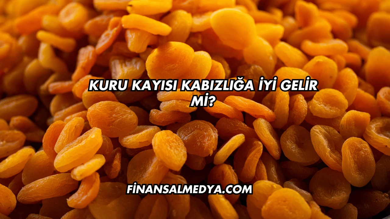 Kuru Kayısı Kabızlığa İyi Gelir mi?