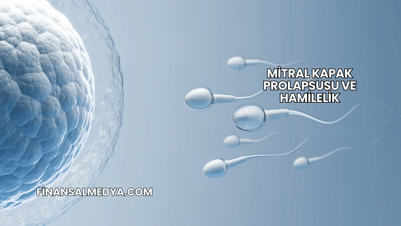 Mitral Kapak Prolapsusu ve Hamilelik
