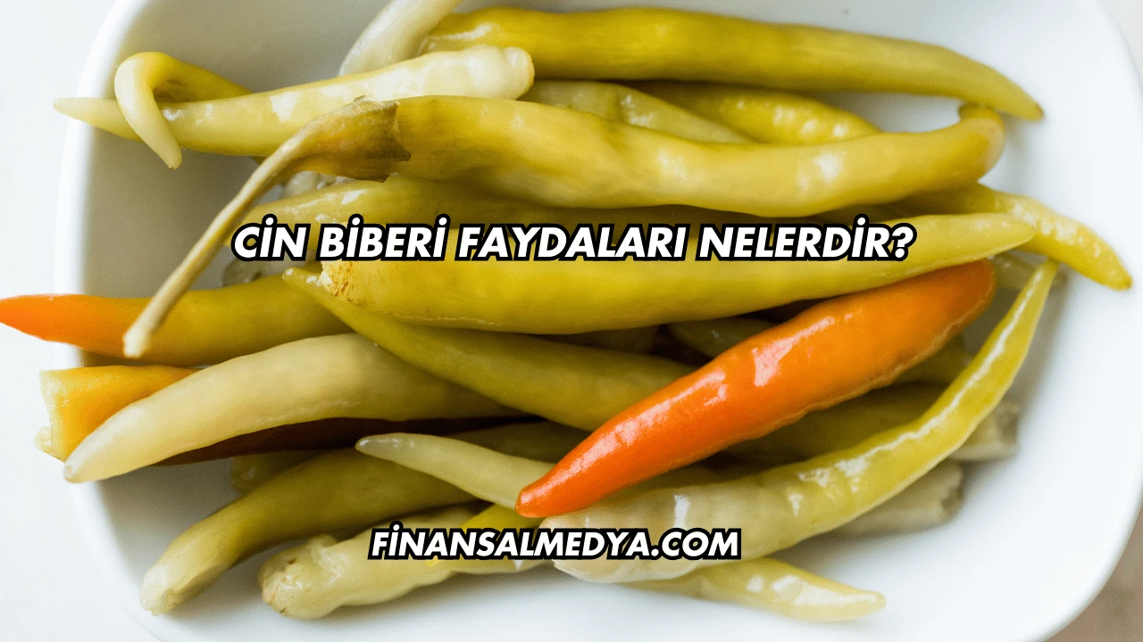 Cin Biberi Faydaları Nelerdir?