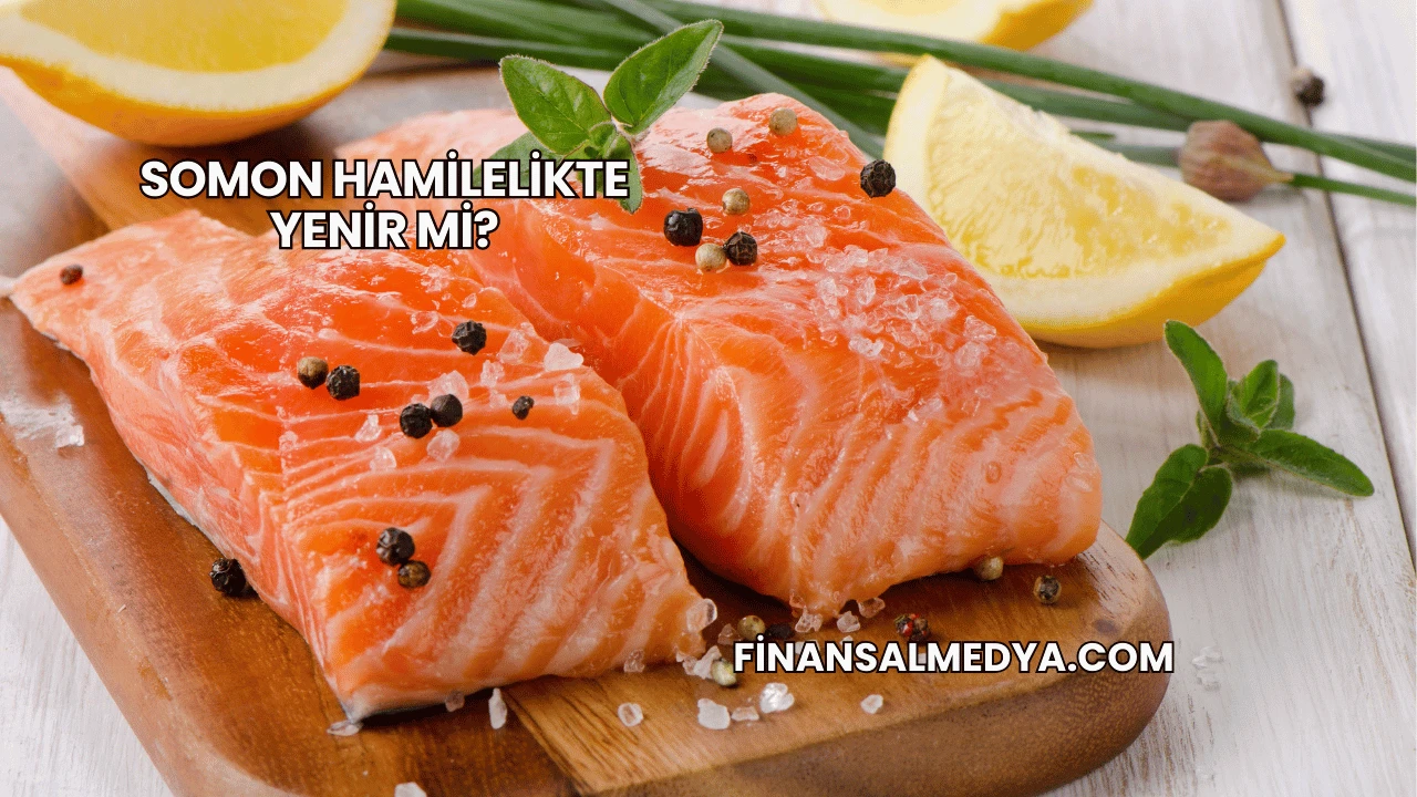 Somon Hamilelikte Yenir mi?