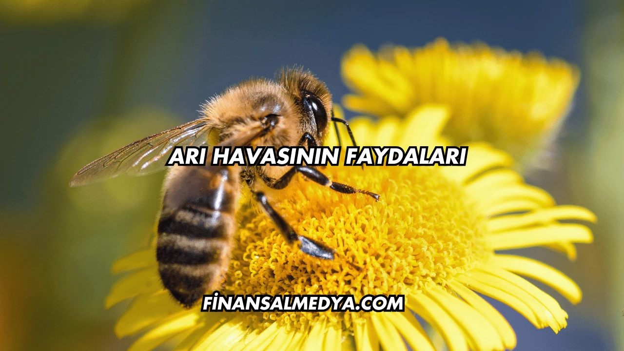 Arı Havasının Faydaları