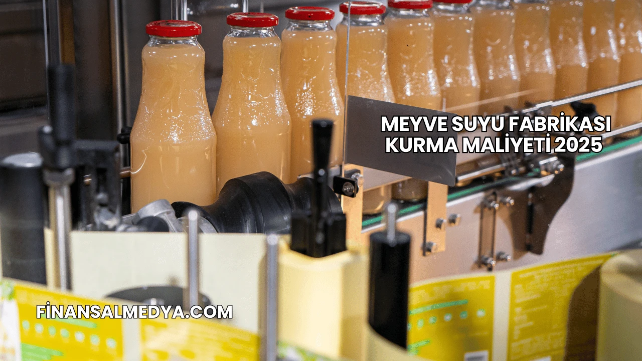 Meyve Suyu Fabrikası Kurma Maliyeti 2025