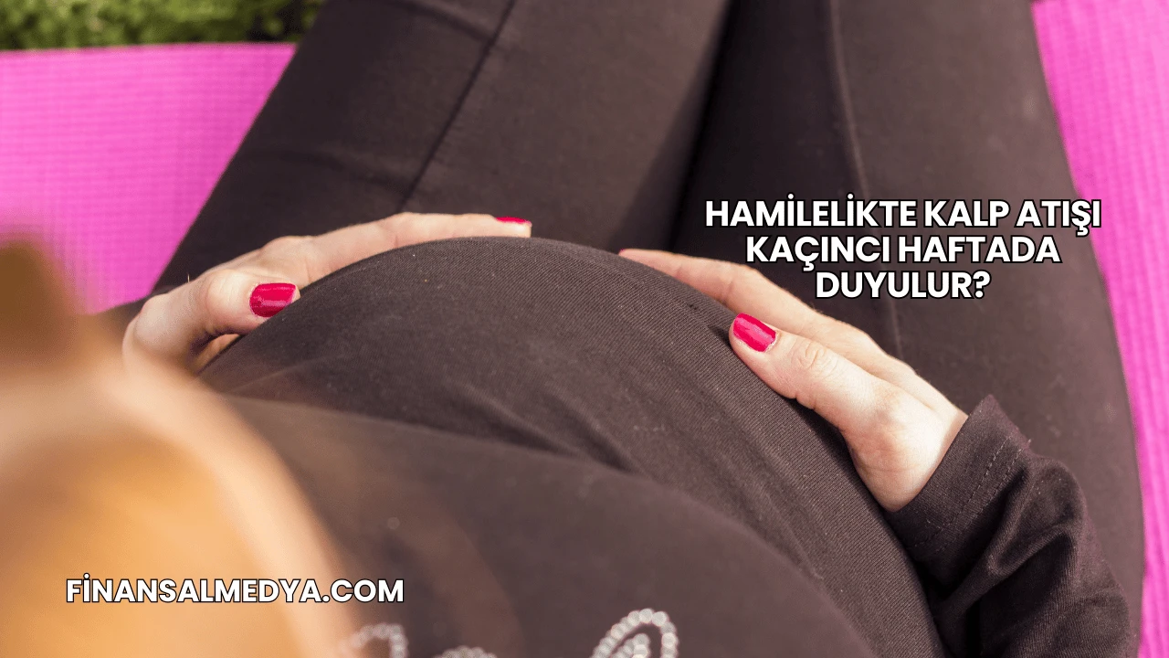 Hamilelikte Kalp Atışı Kaçıncı Haftada Duyulur?