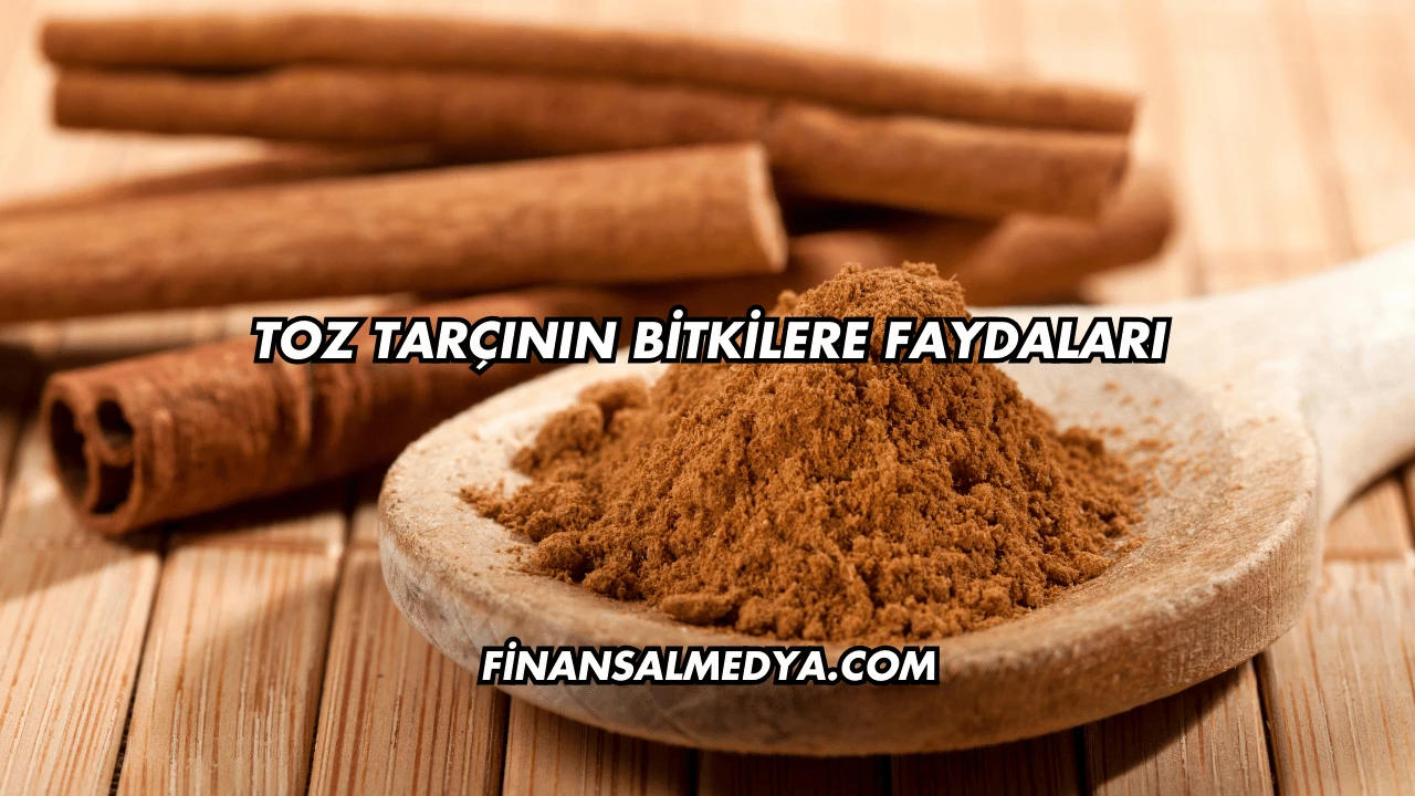 Toz Tarçının Bitkilere Faydaları