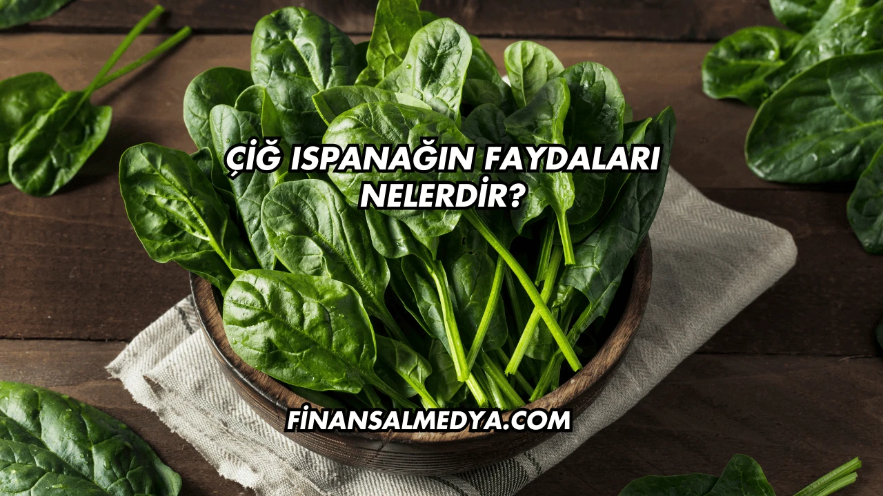 Çiğ Ispanağın Faydaları Nelerdir?