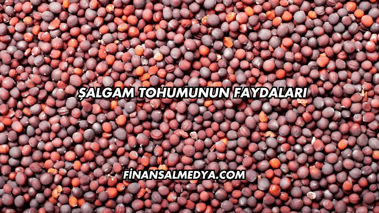 Şalgam Tohumunun Faydaları