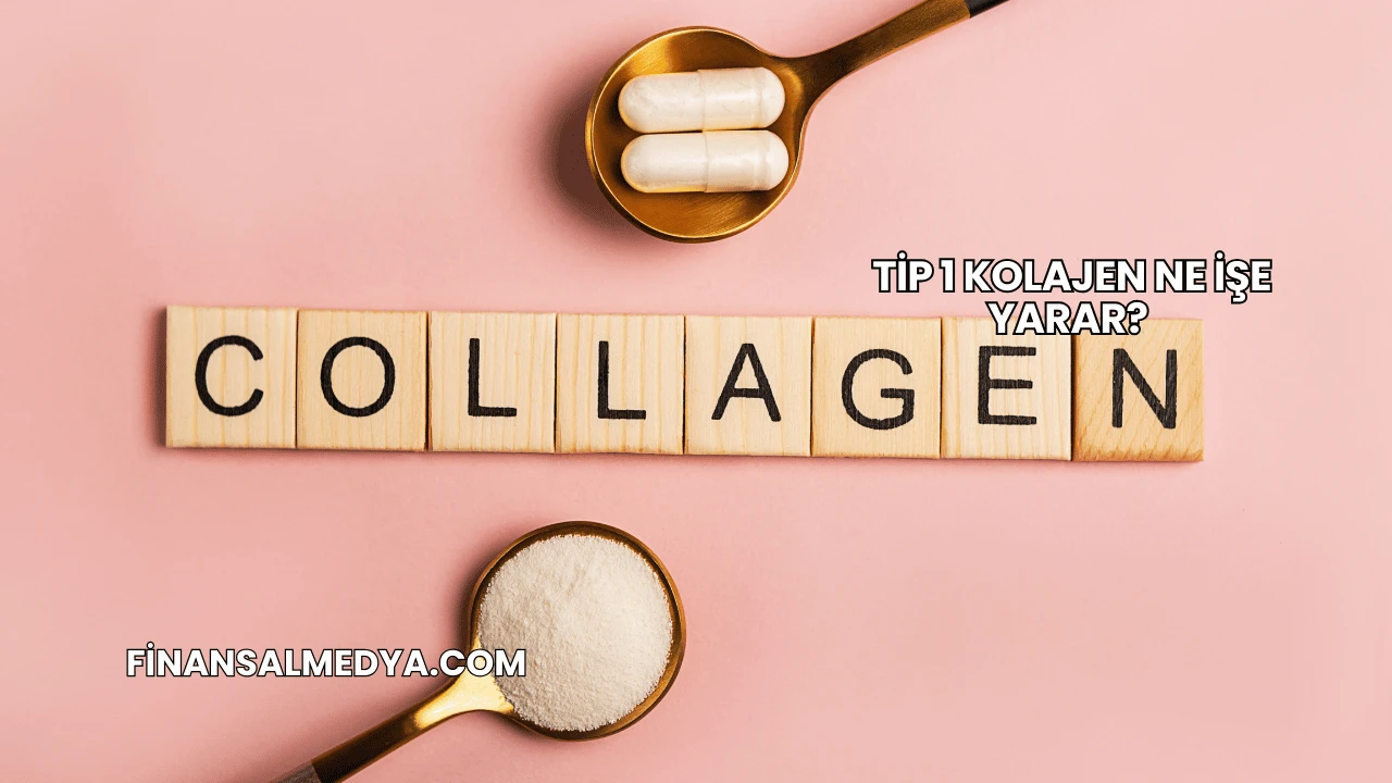Tip 1 Kolajen Ne İşe Yarar?