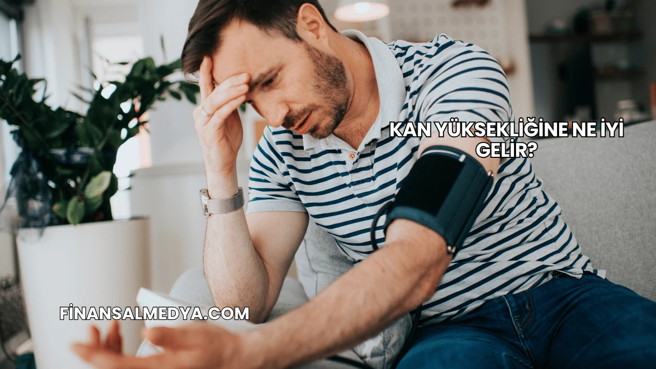 Kan Yüksekliğine Ne İyi Gelir?