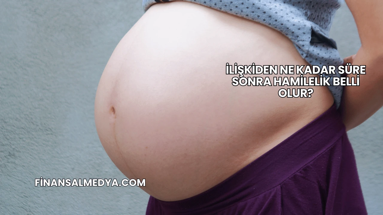 İlişkiden Ne Kadar Süre Sonra Hamilelik Belli Olur?
