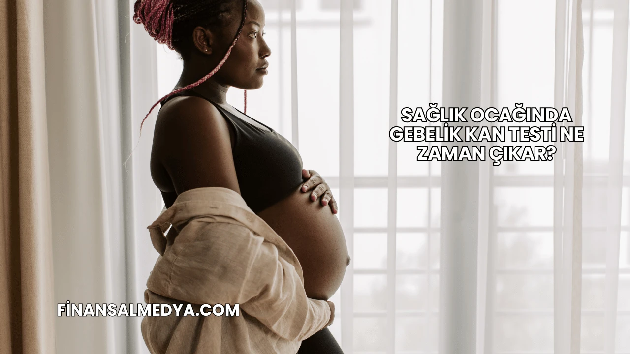 Sağlık Ocağında Gebelik Kan Testi Ne Zaman Çıkar?