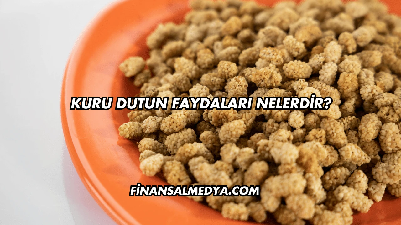 Kuru Dutun Faydaları Nelerdir?