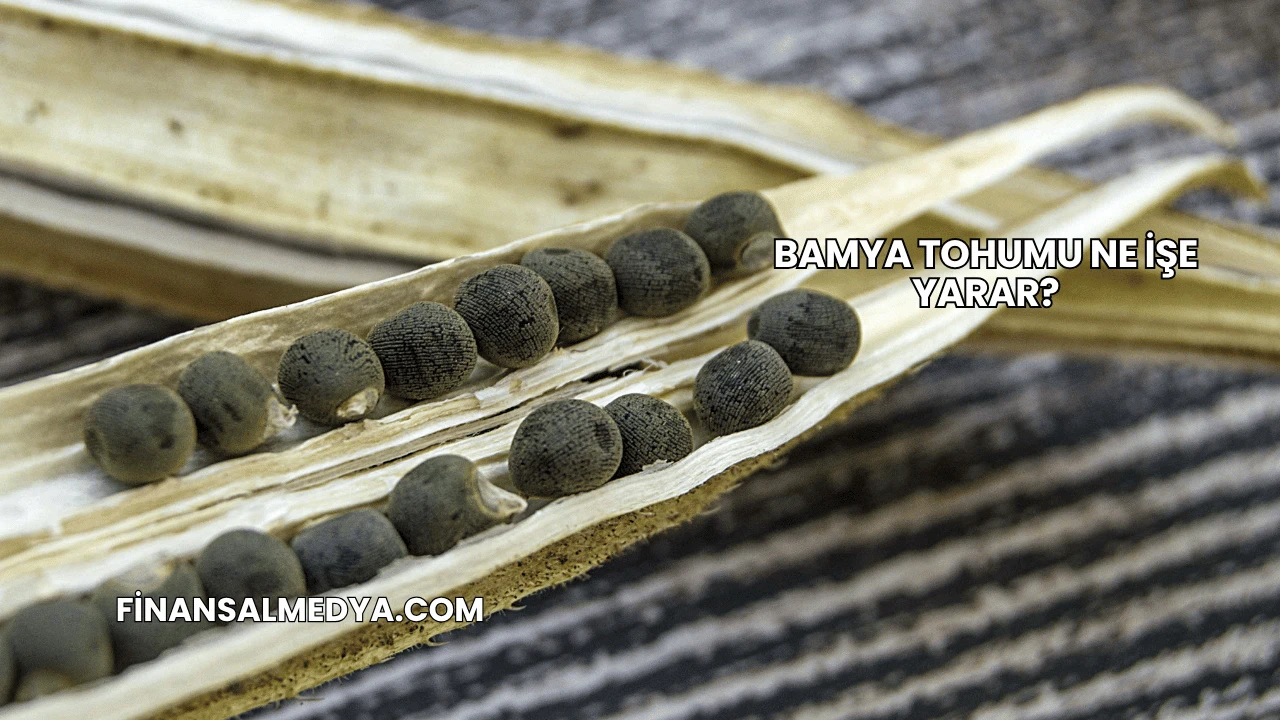 Bamya Tohumu Ne İşe Yarar?