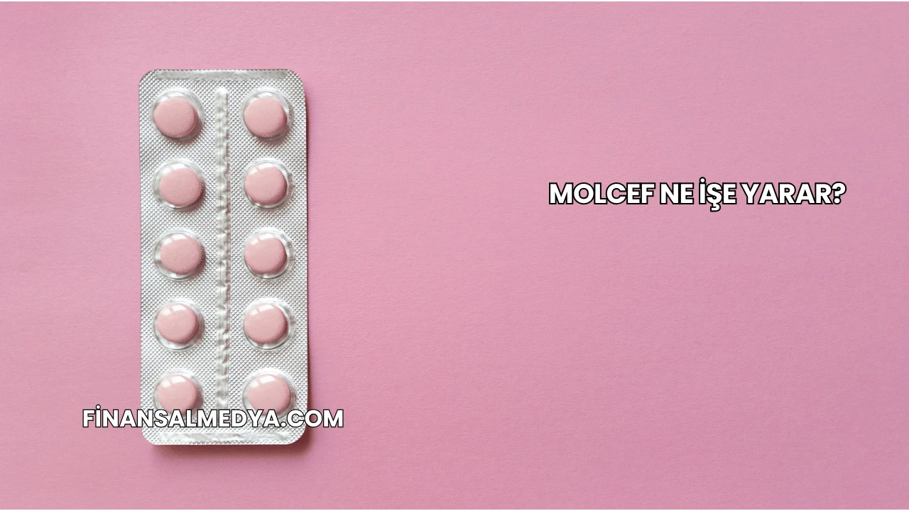 Molcef Ne İşe Yarar?