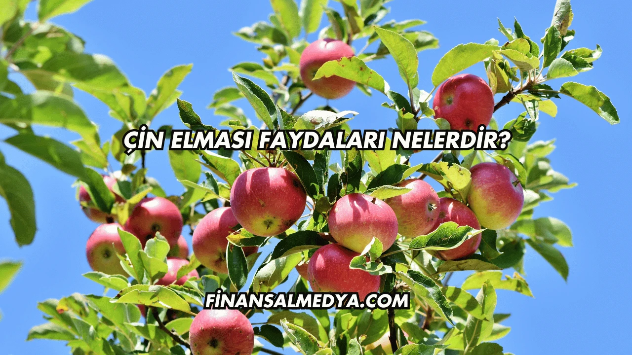 Çin Elması Faydaları Nelerdir?