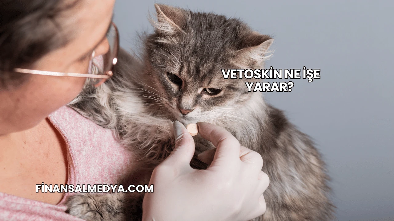 Vetoskin Ne İşe Yarar?