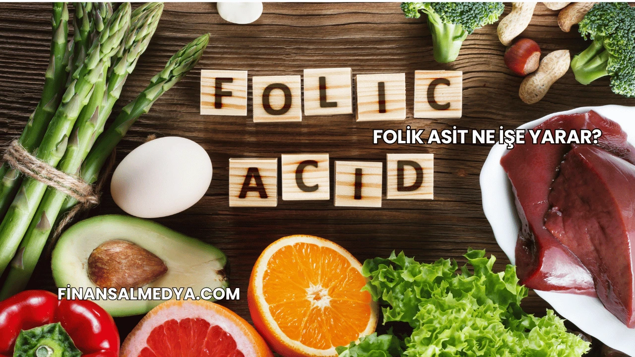 Folik Asit Ne İşe Yarar?