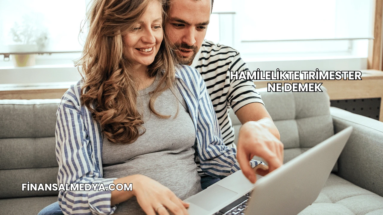 Hamilelikte Trimester Ne Demek
