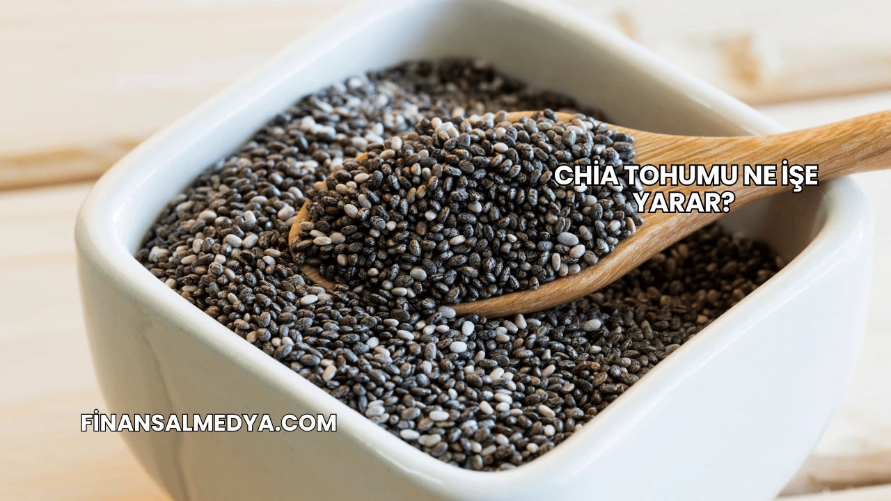 Chia Tohumu Ne İşe Yarar?