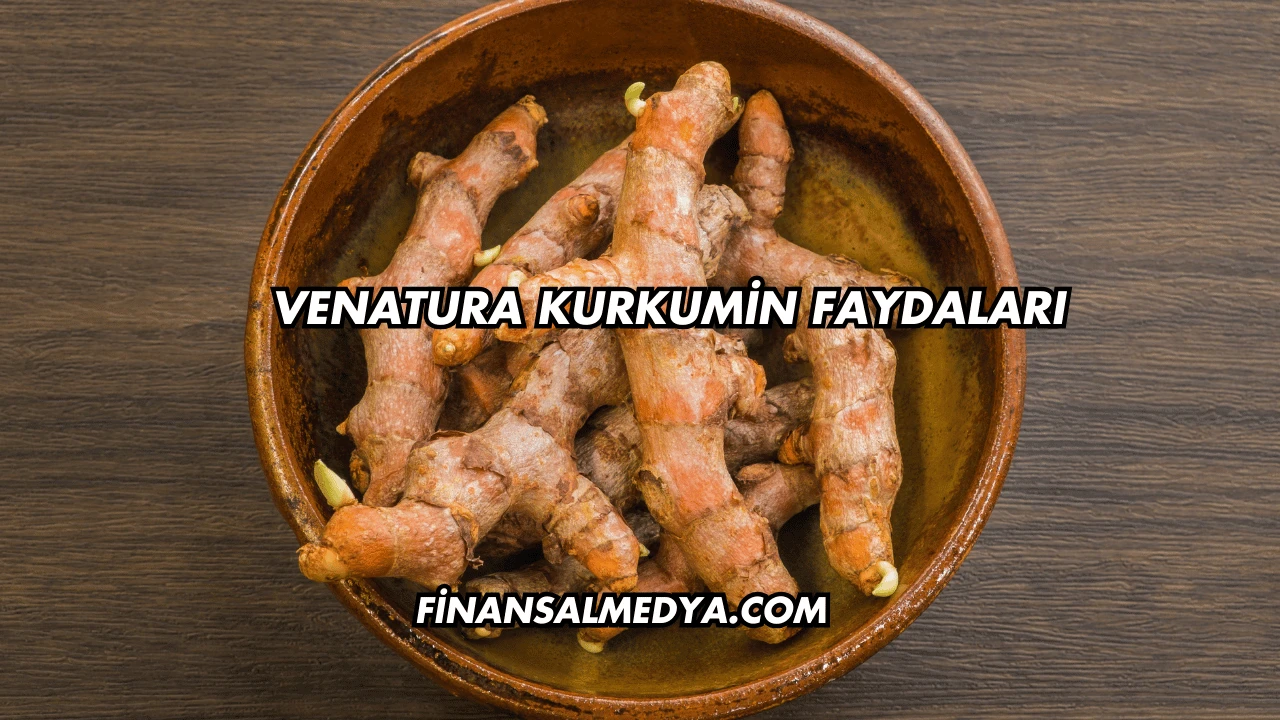 Venatura Kurkumin Faydaları