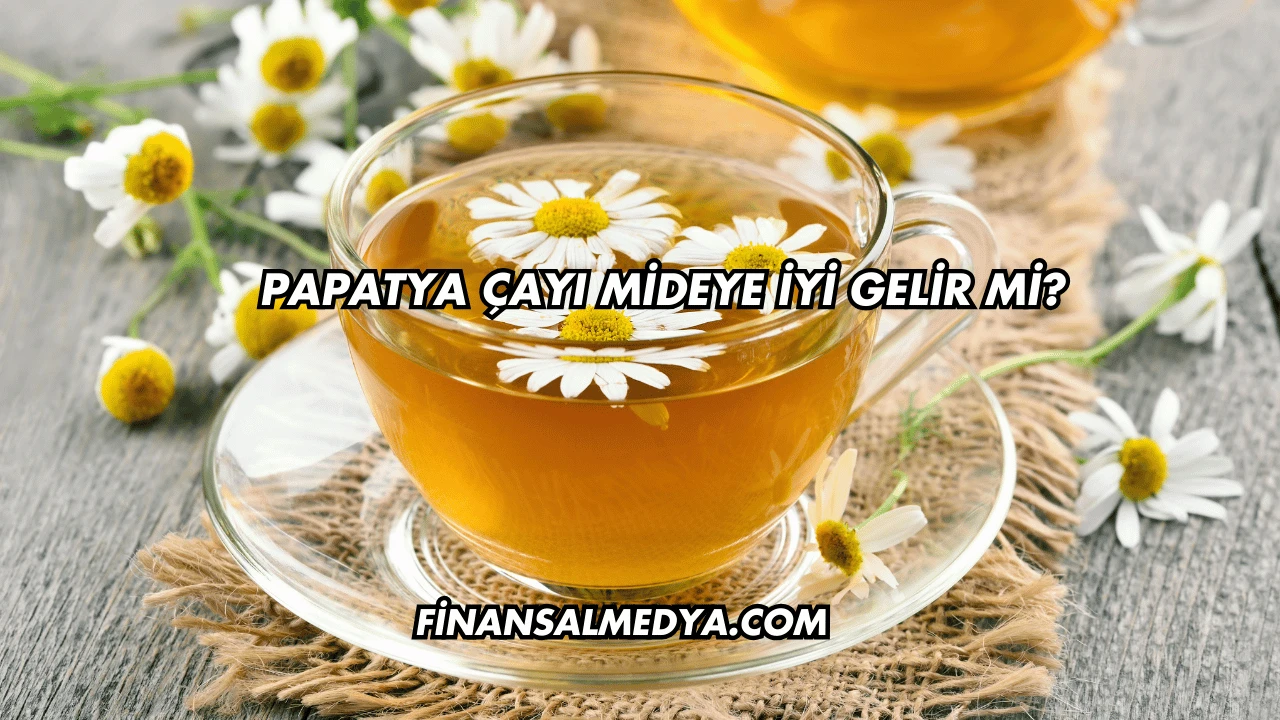 Papatya Çayı Mideye İyi Gelir mi?