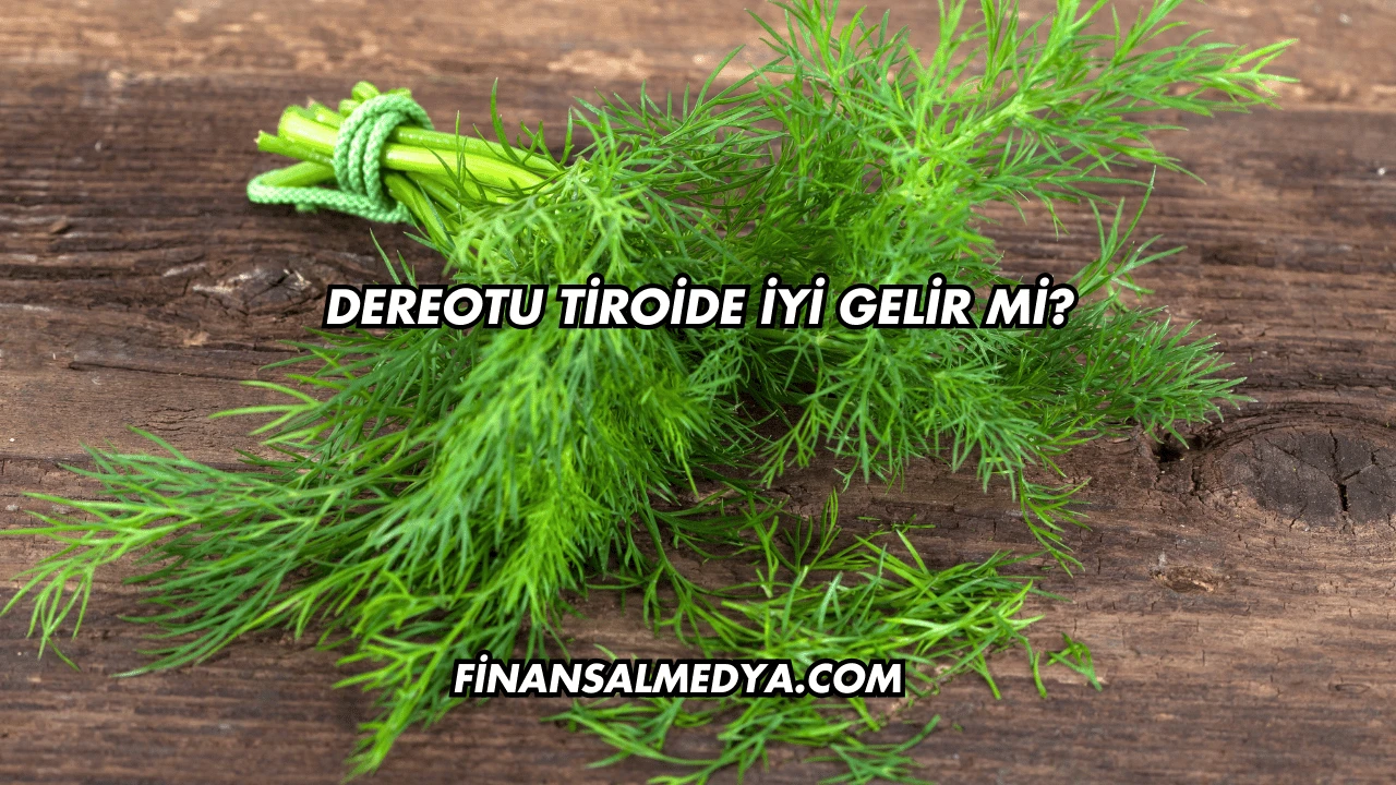 Dereotu Tiroide İyi Gelir mi?