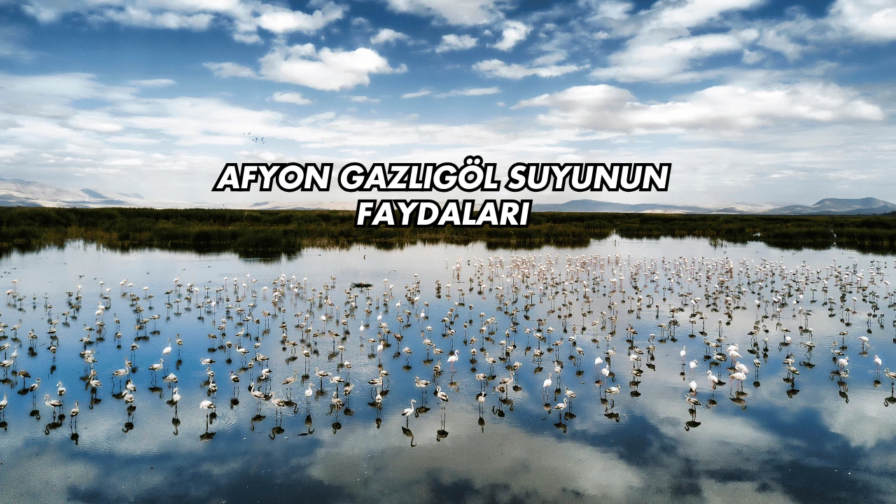 Afyon Gazlıgöl Suyunun Faydaları