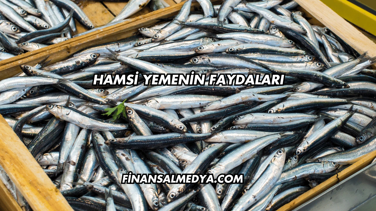 Hamsi Yemenin Faydaları