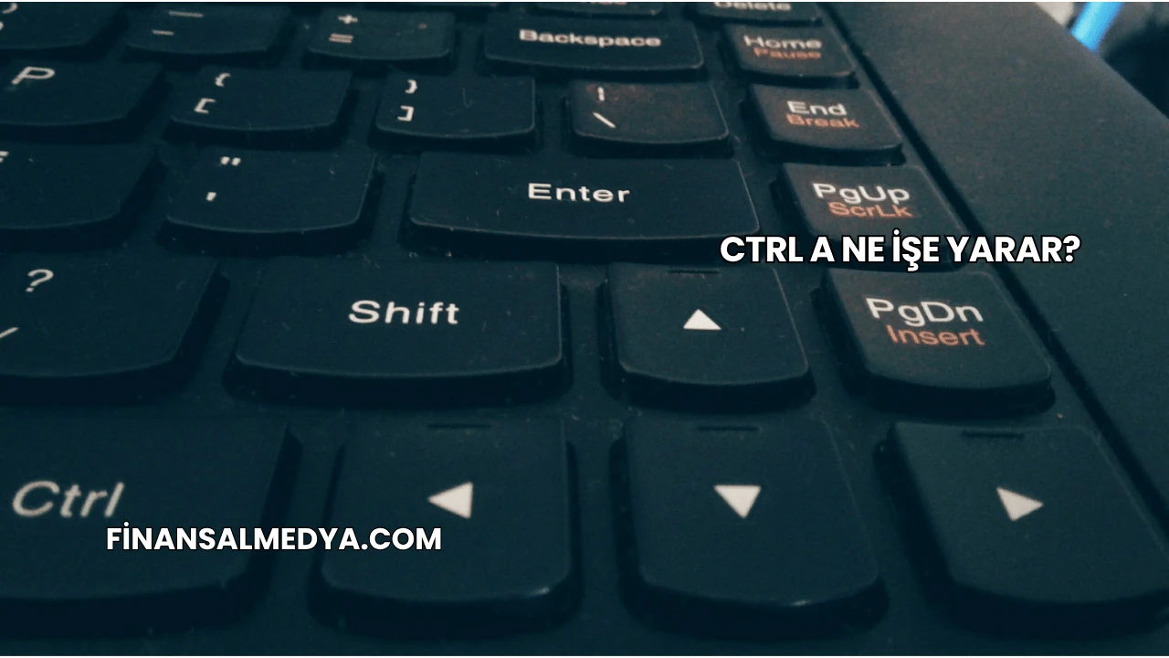 Ctrl A Ne İşe Yarar?
