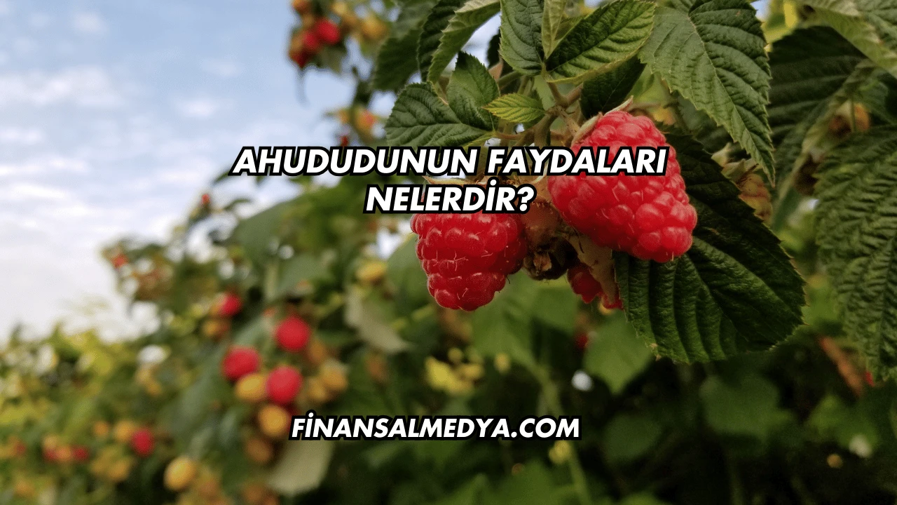 Ahududunun Faydaları Nelerdir?