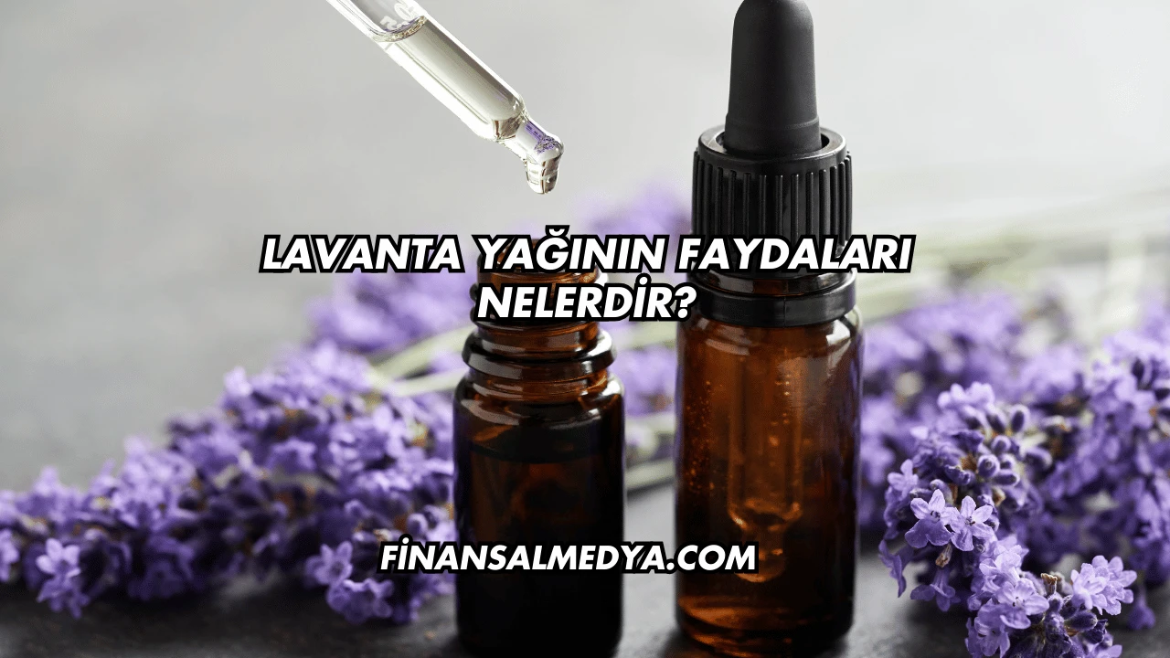 Lavanta Yağının Faydaları Nelerdir?